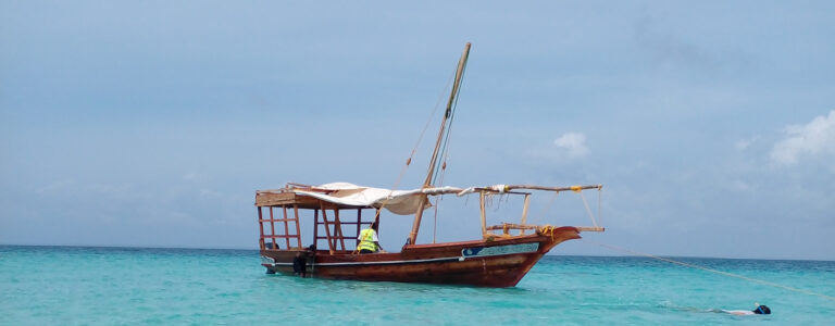 1 day wasini dhow