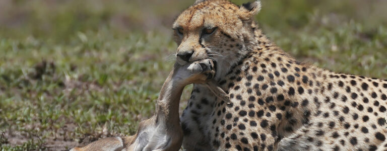 3 days_maasai_mara