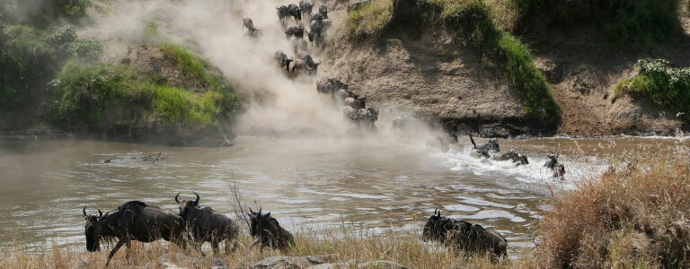 8 Days Tsavo East West Amboseli L