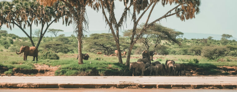 samburu _3 days